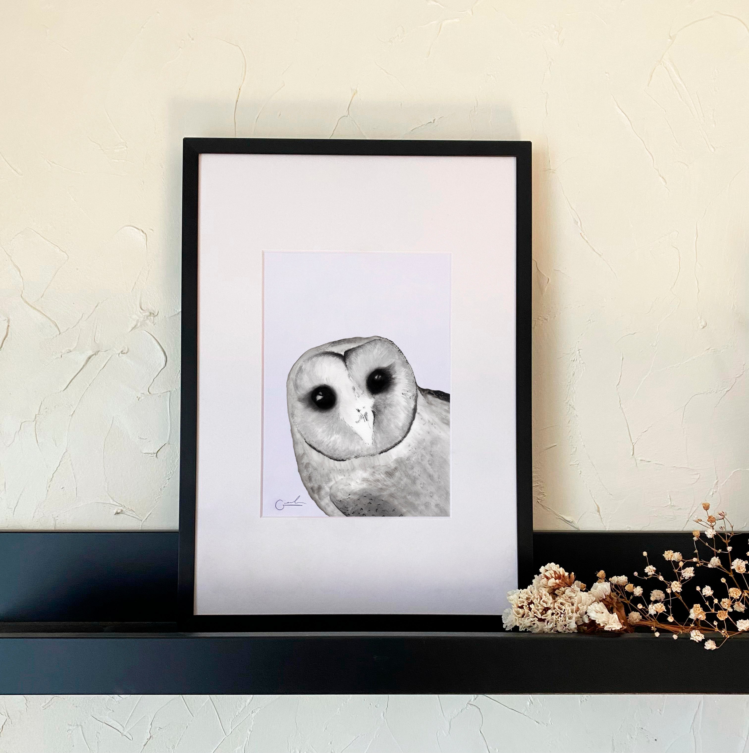 Grafito & carboncillo