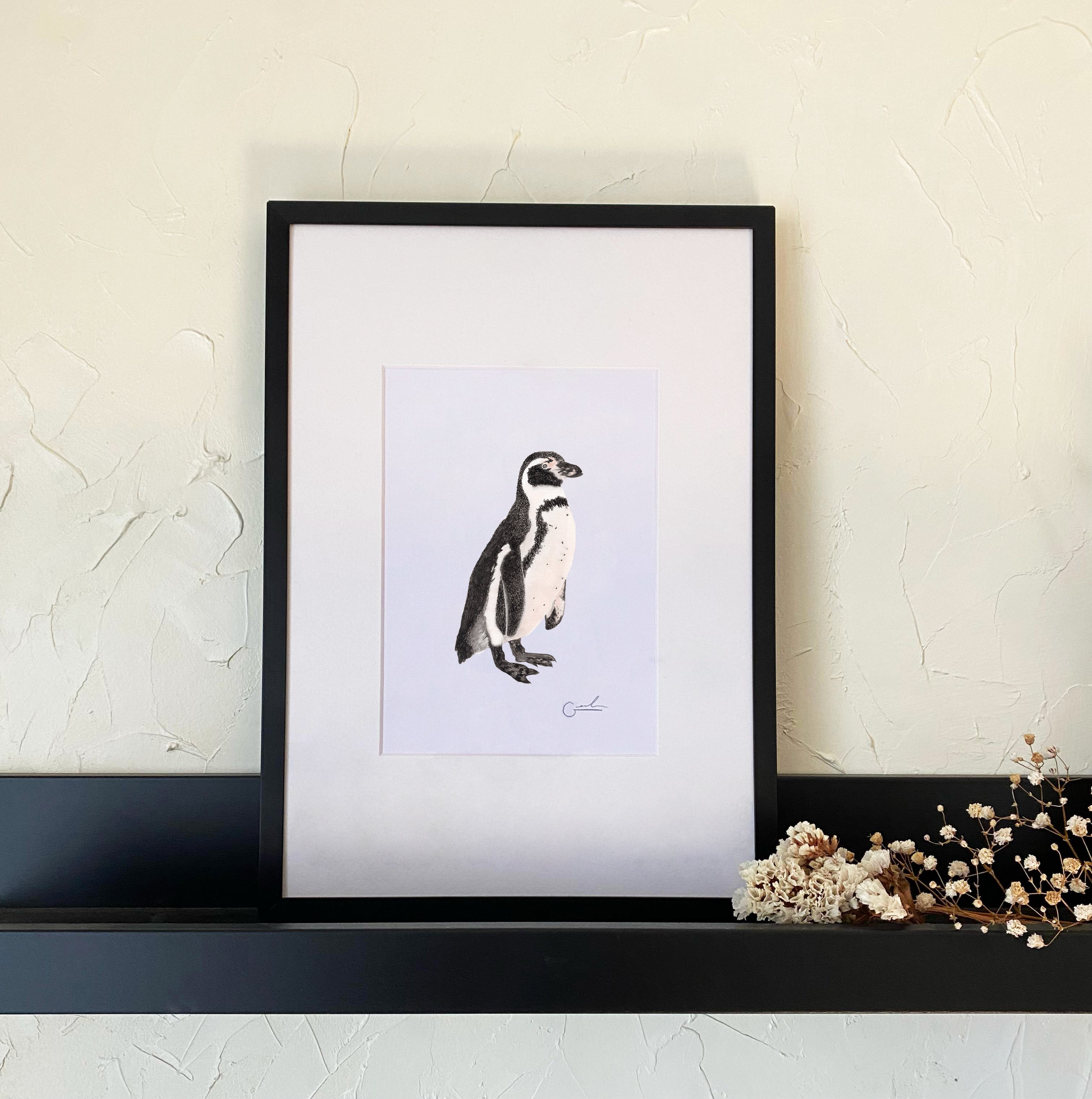 Pingüino de Humboldt