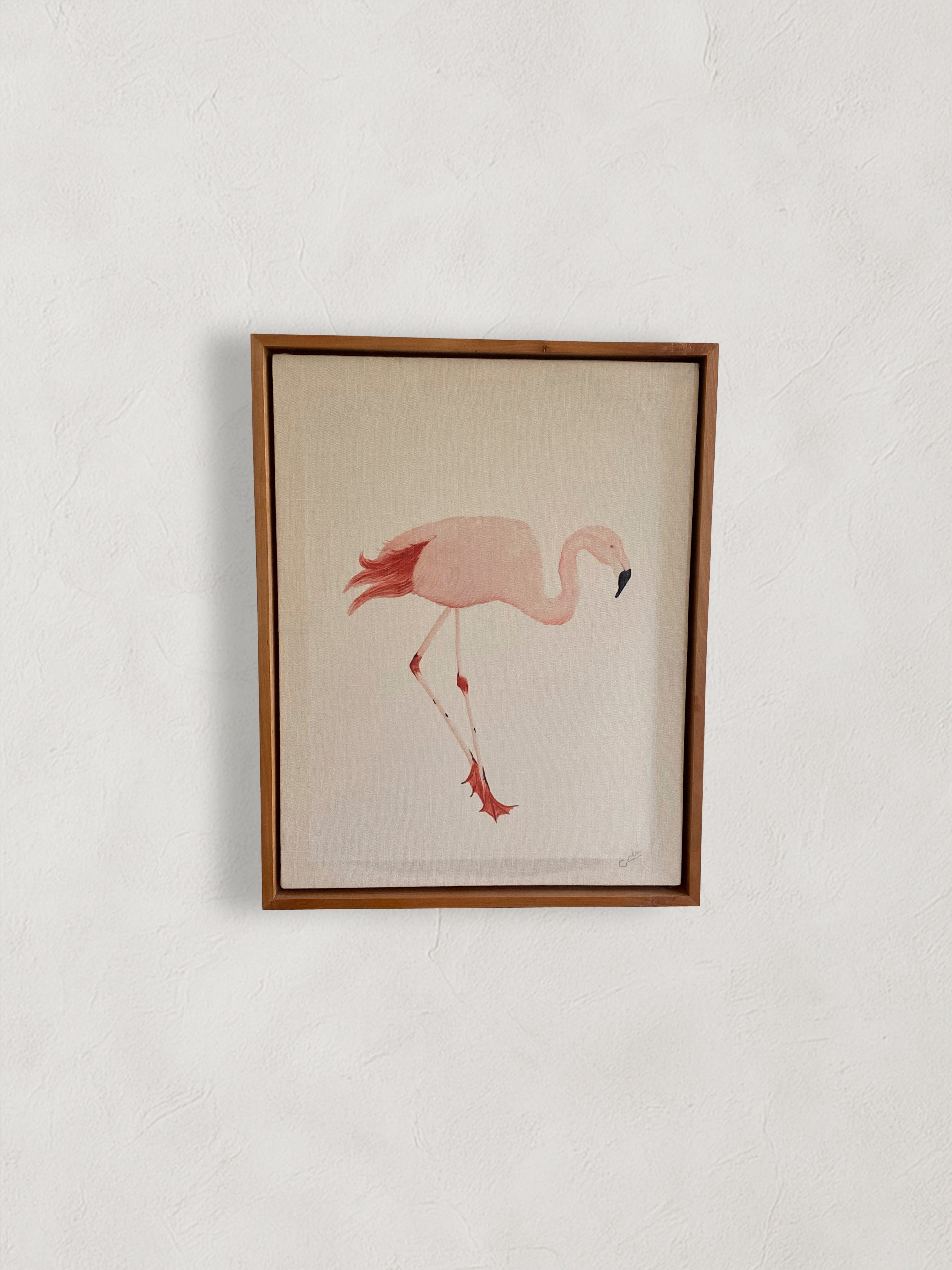 Flamenco Canvas 40x50 cm