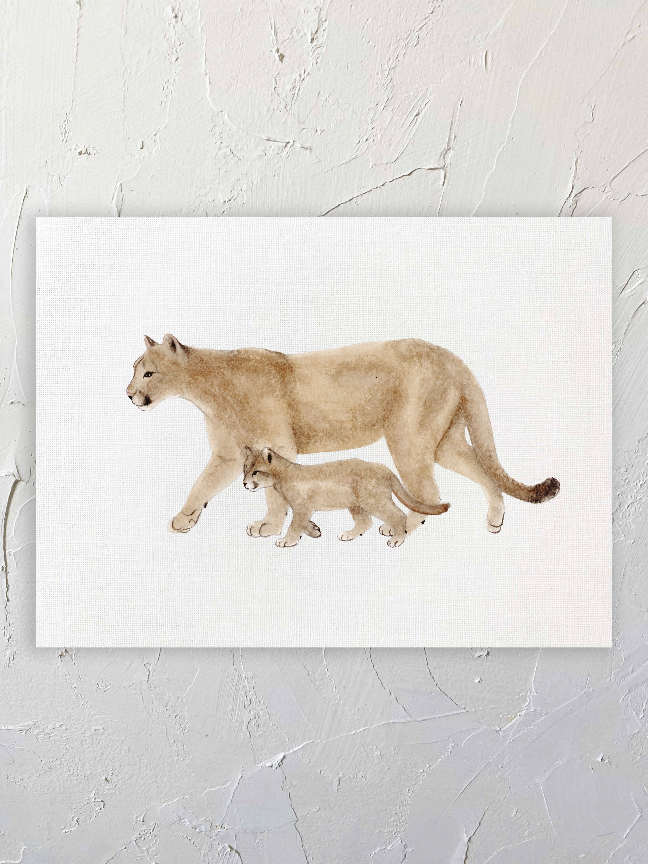 Puma Hembra y cachorro
