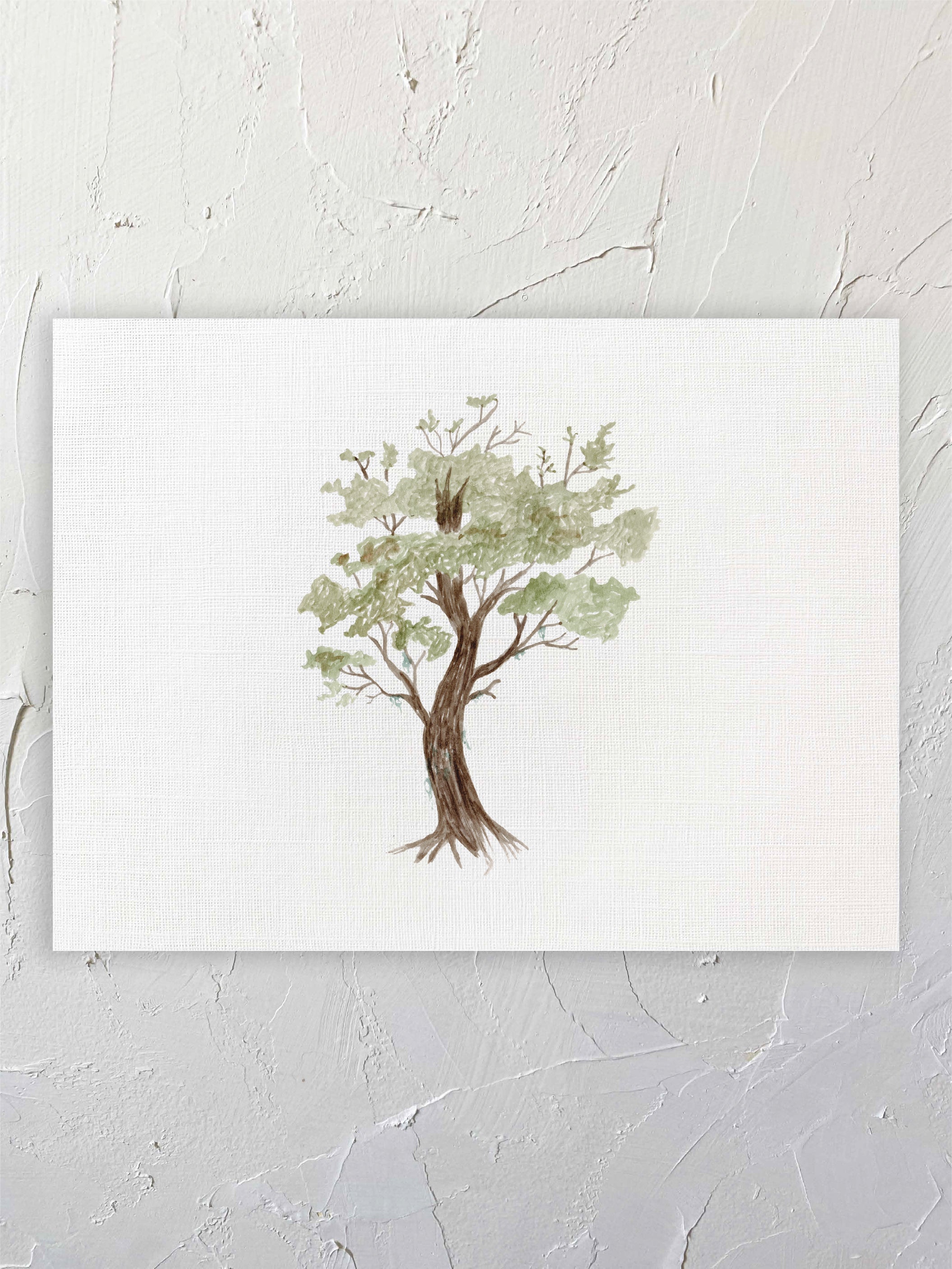 Lenga árbol