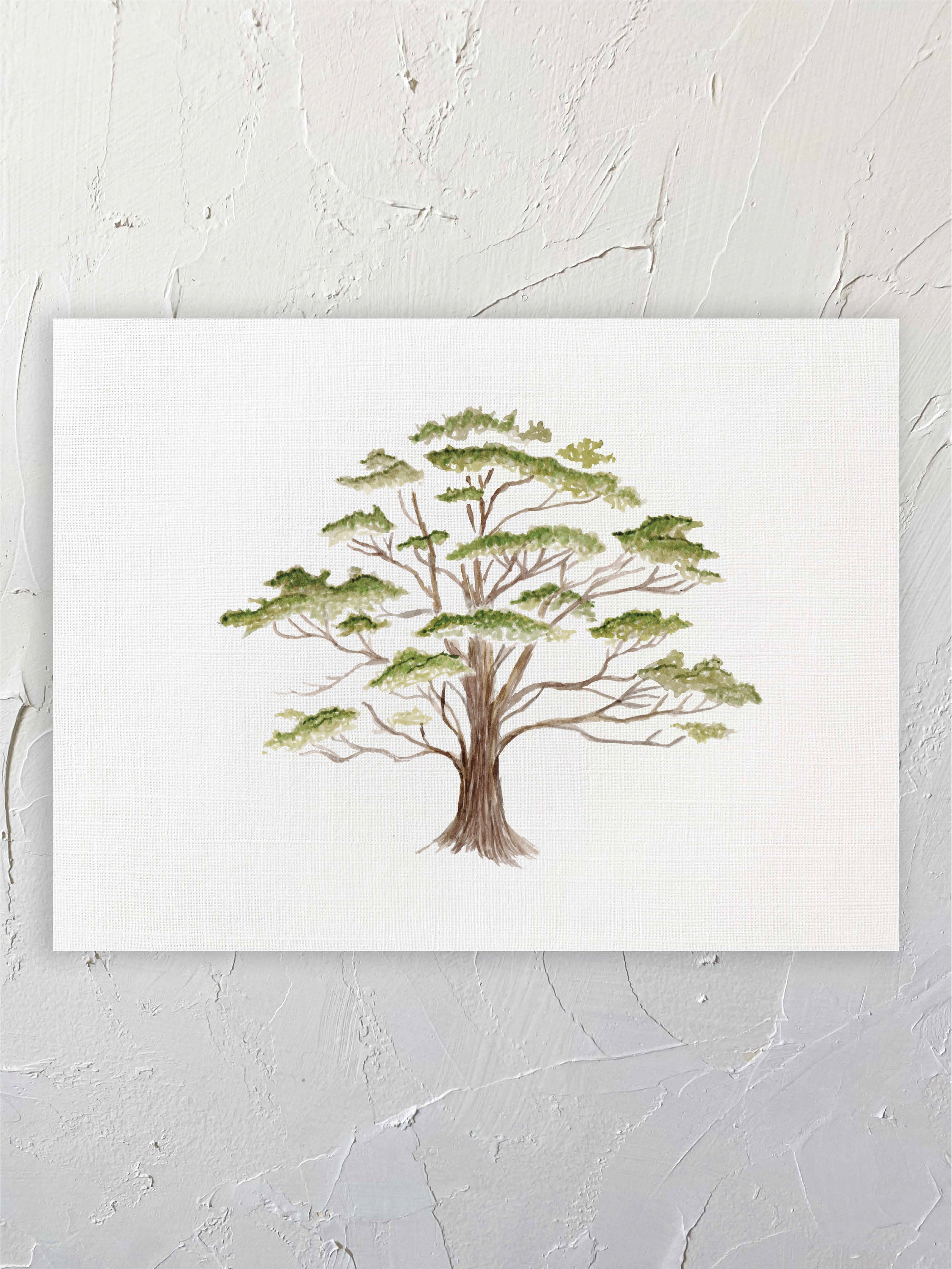 Coigüe árbol
