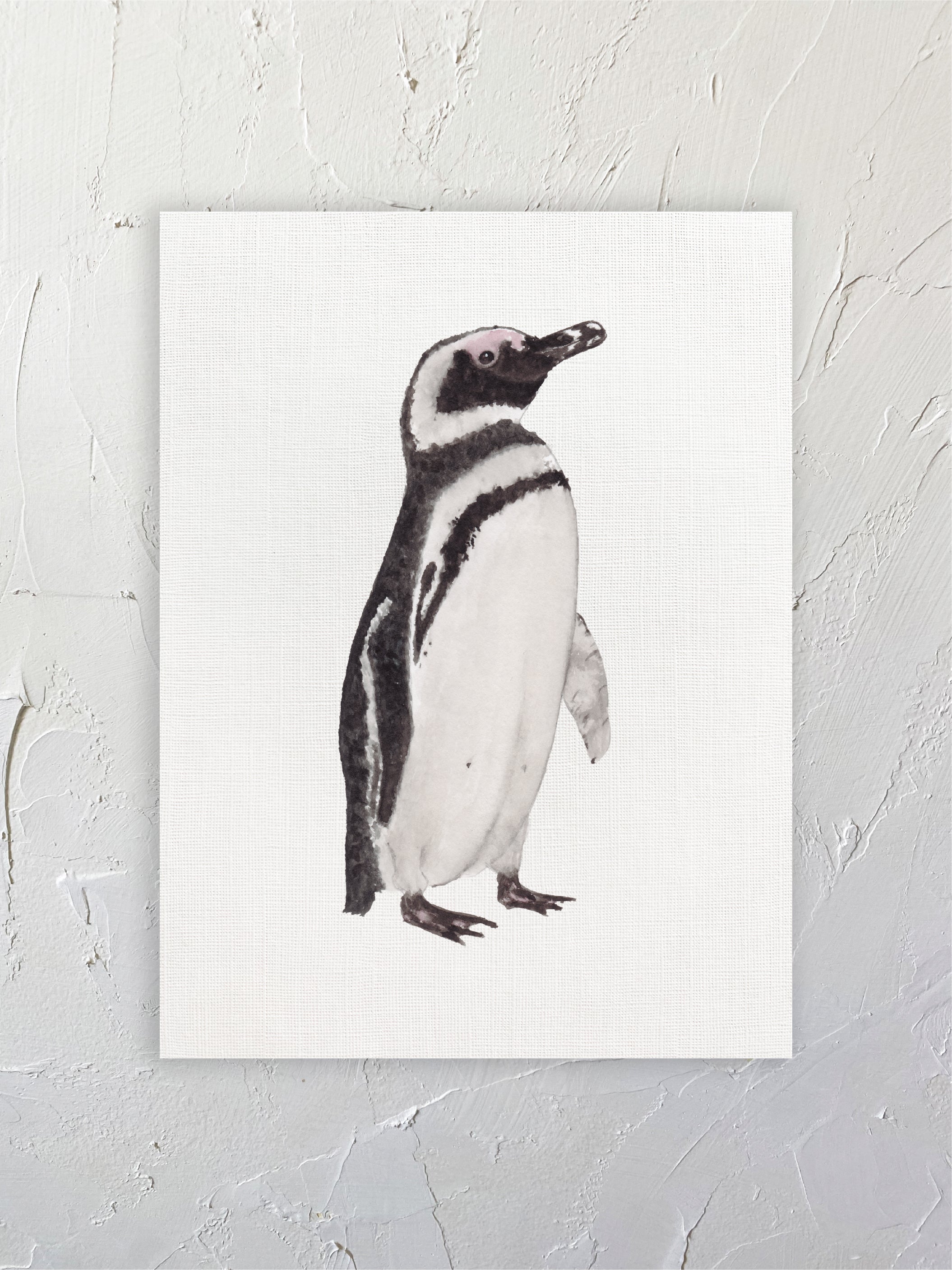 Pingüino de Magallanes