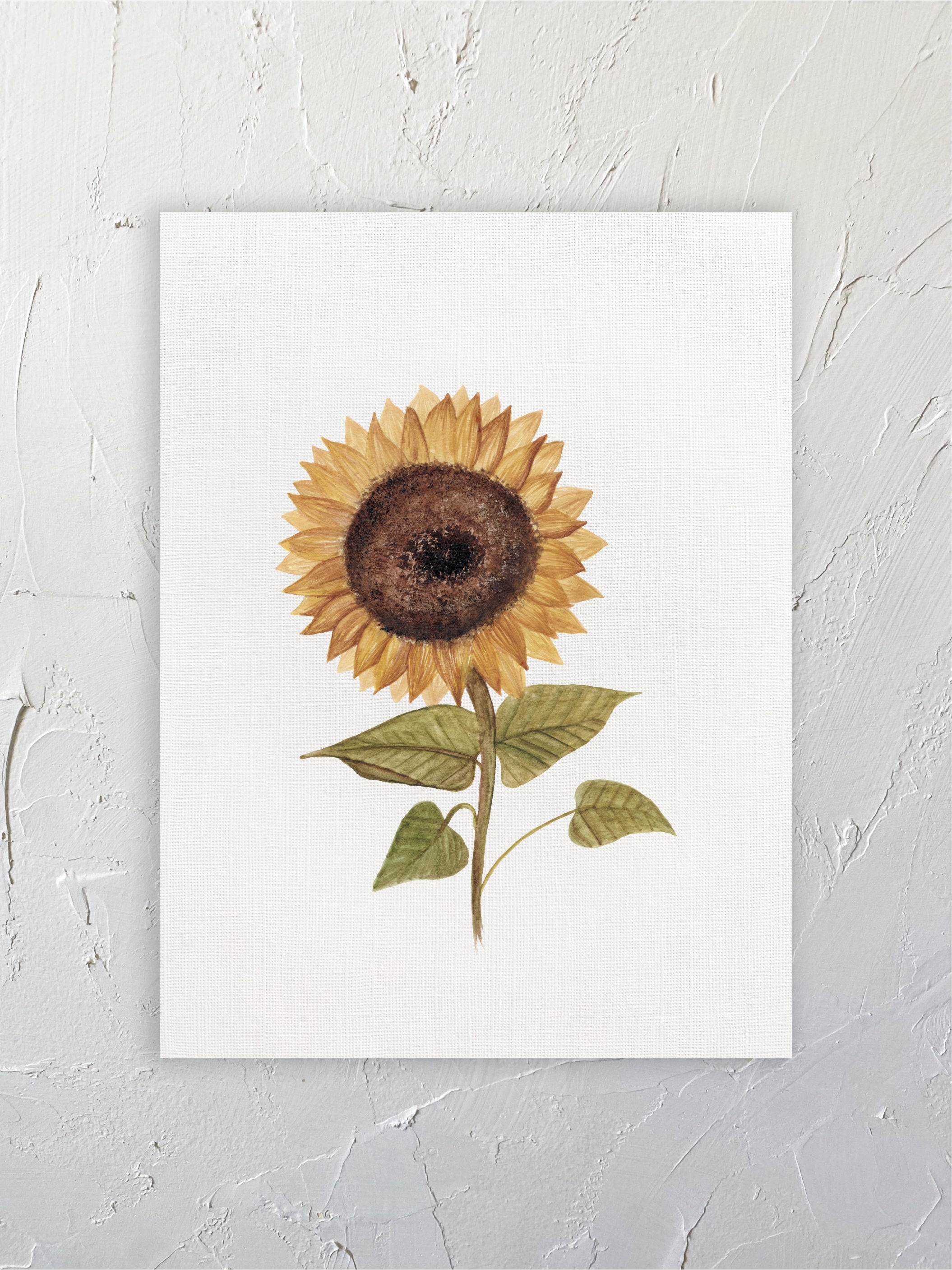 Girasol