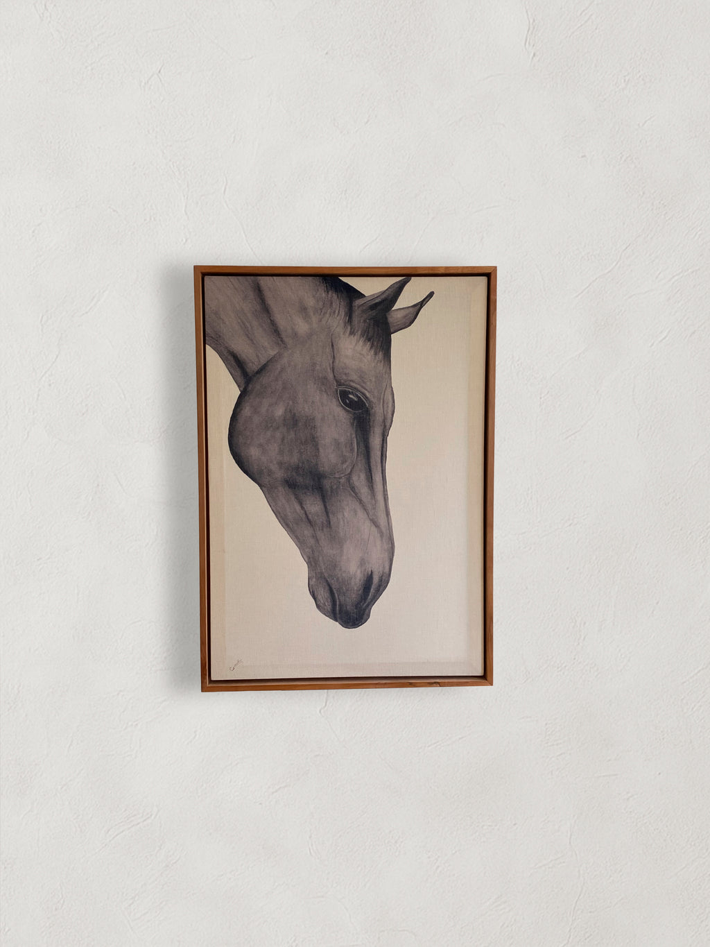 Caballo ingles Canvas 50x70 cm