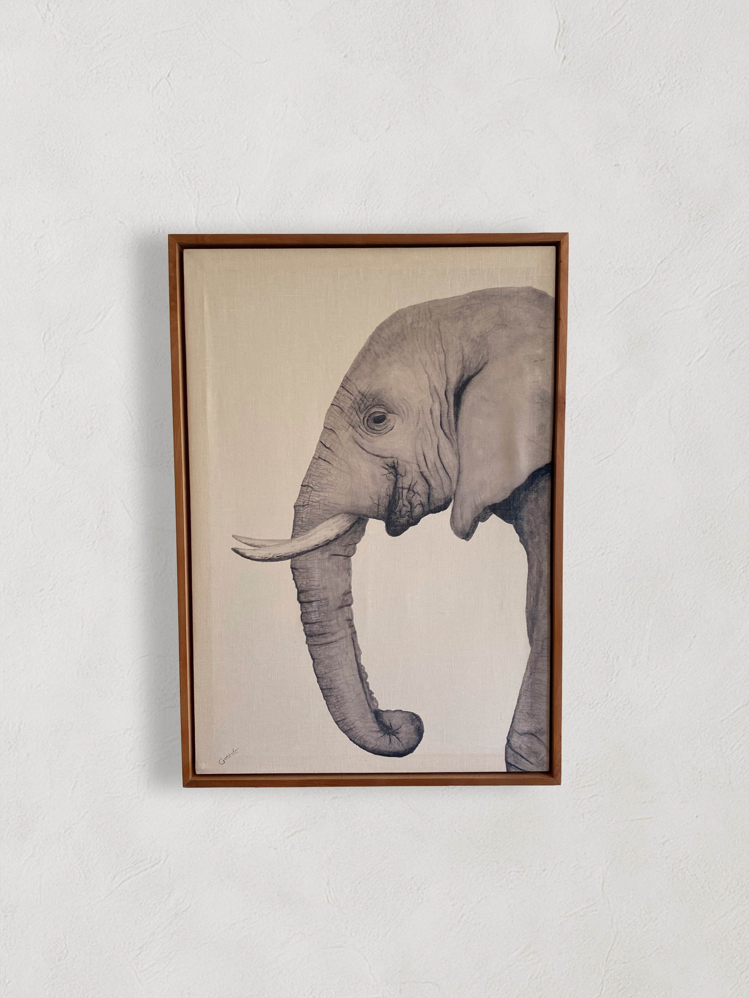 Elefante Canvas 50x70 cm