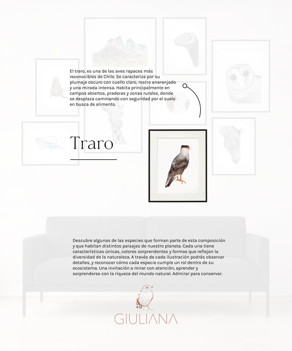 Composicion 01