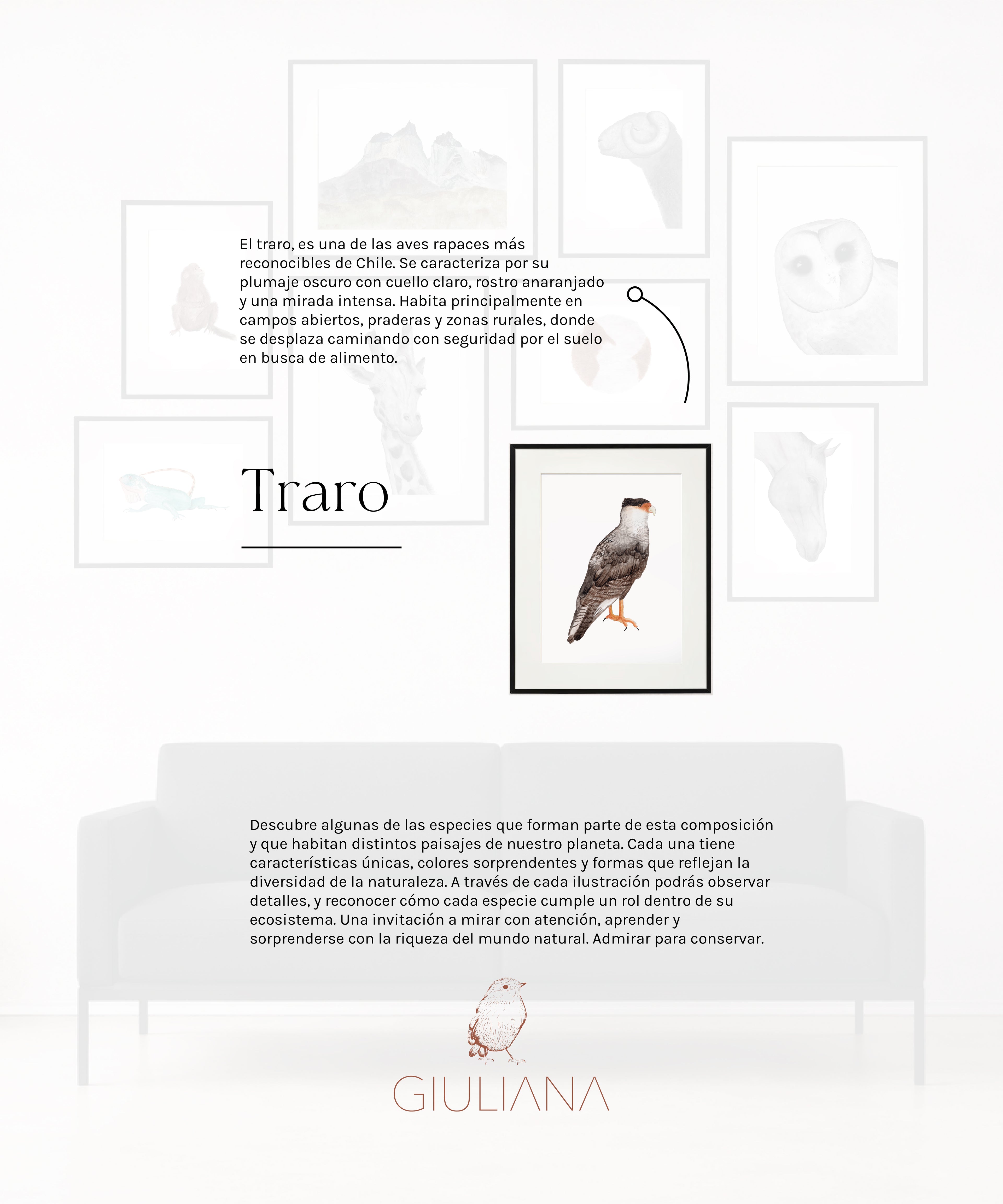Composicion 01