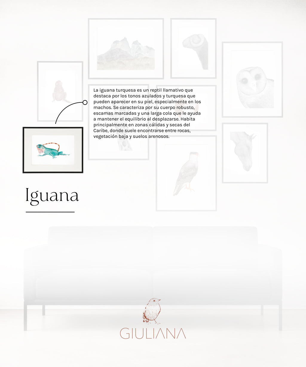 Composicion 01