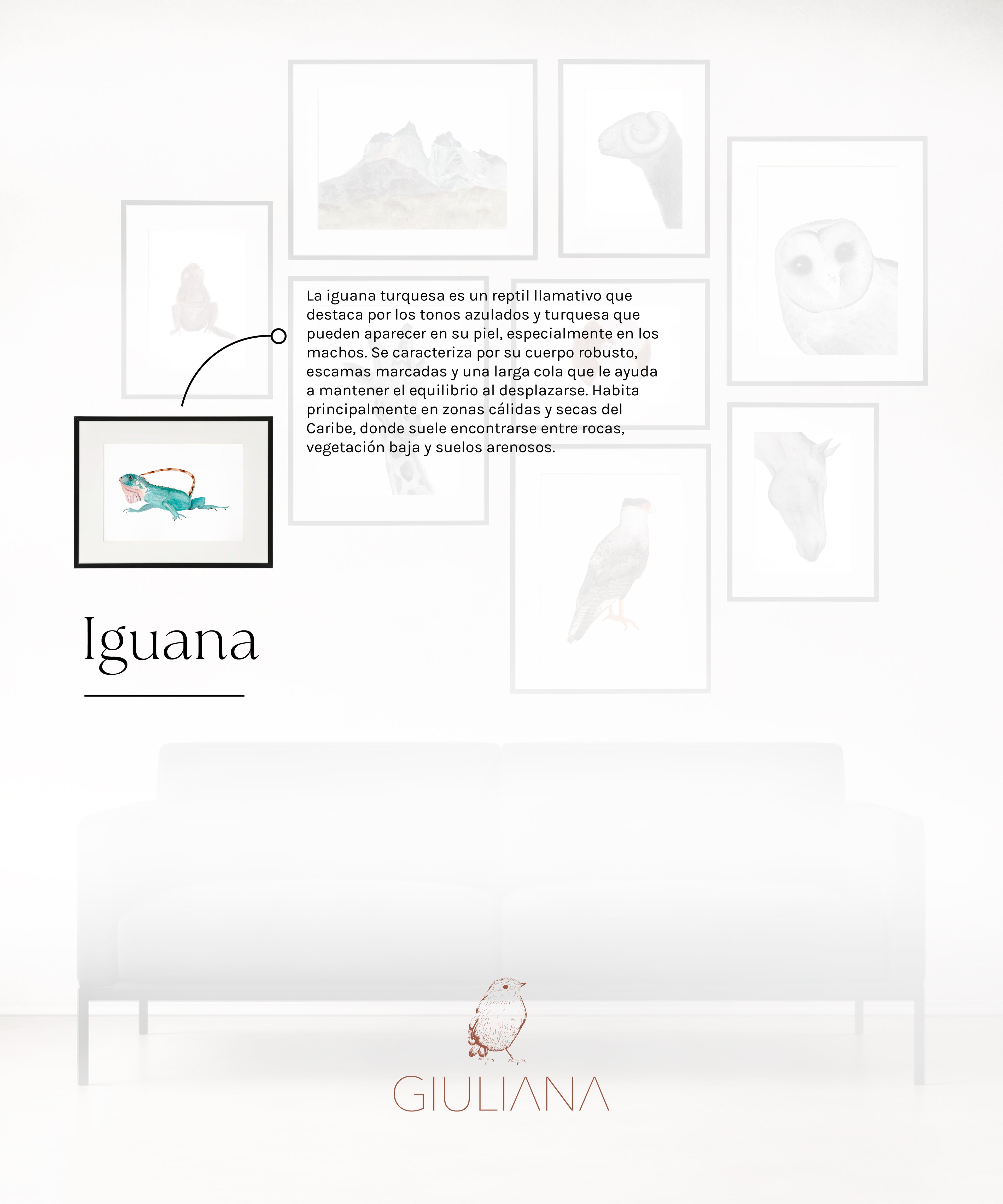 Composicion 01