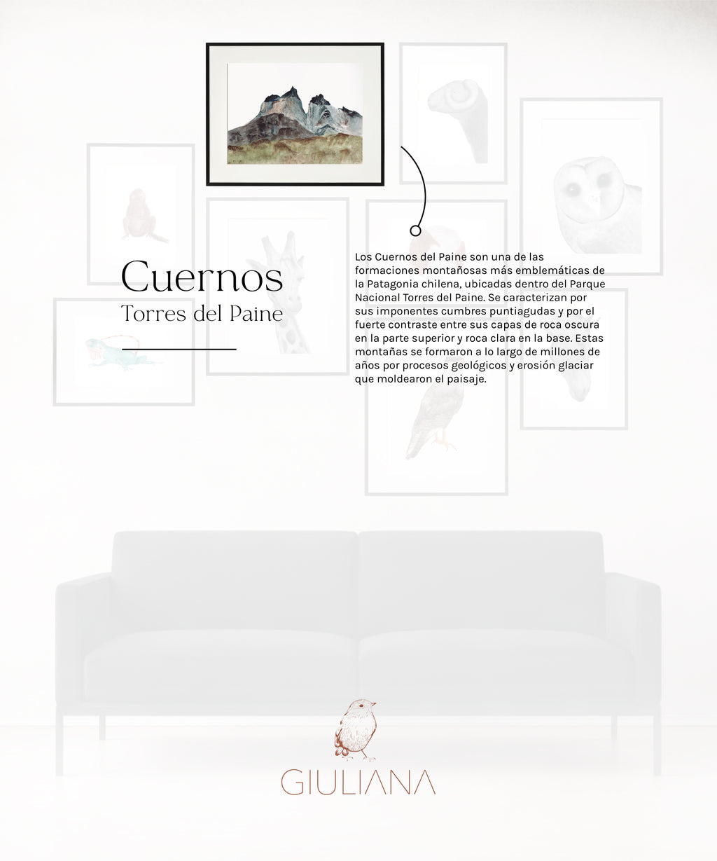 Composicion 01