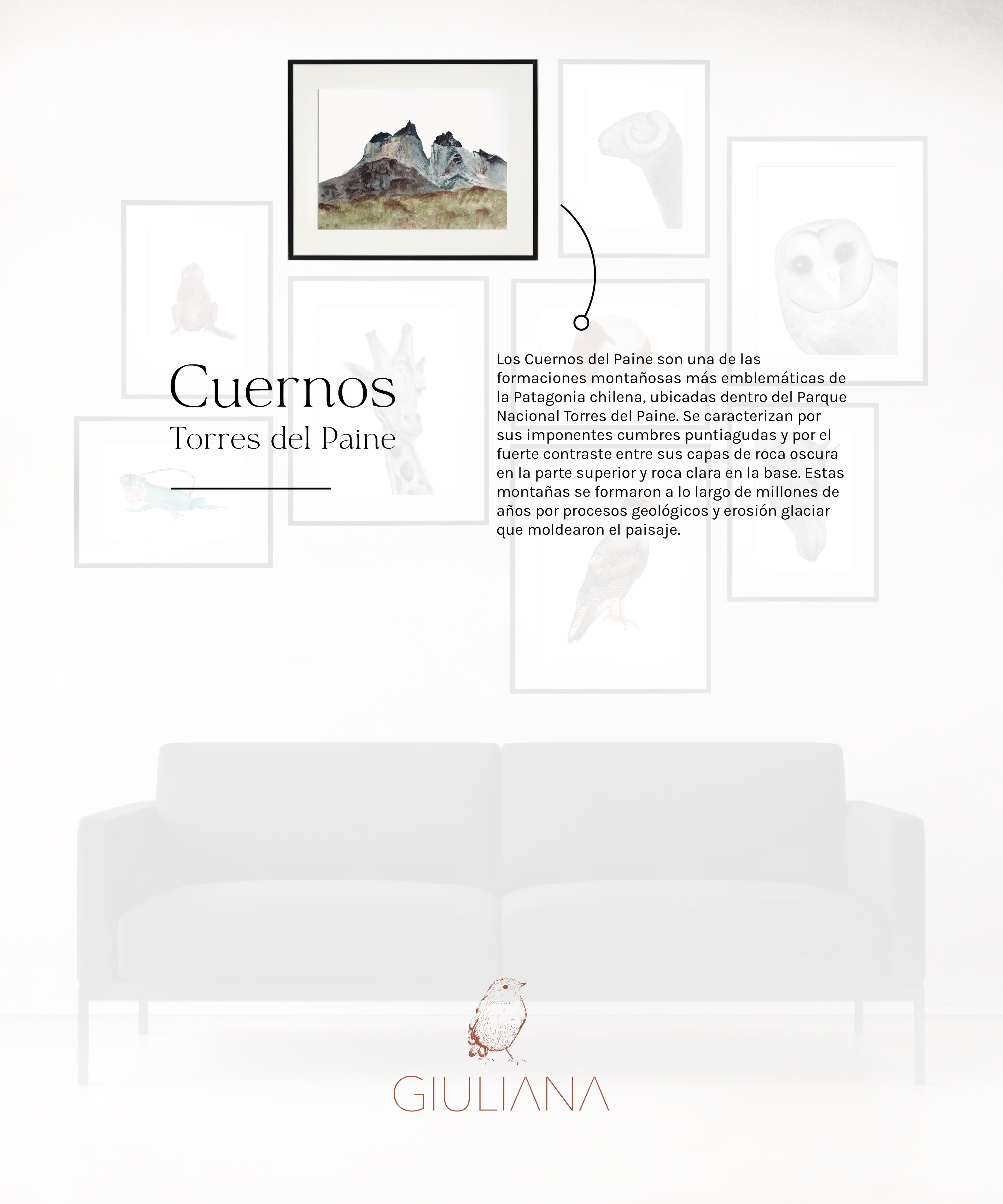 Composicion 01