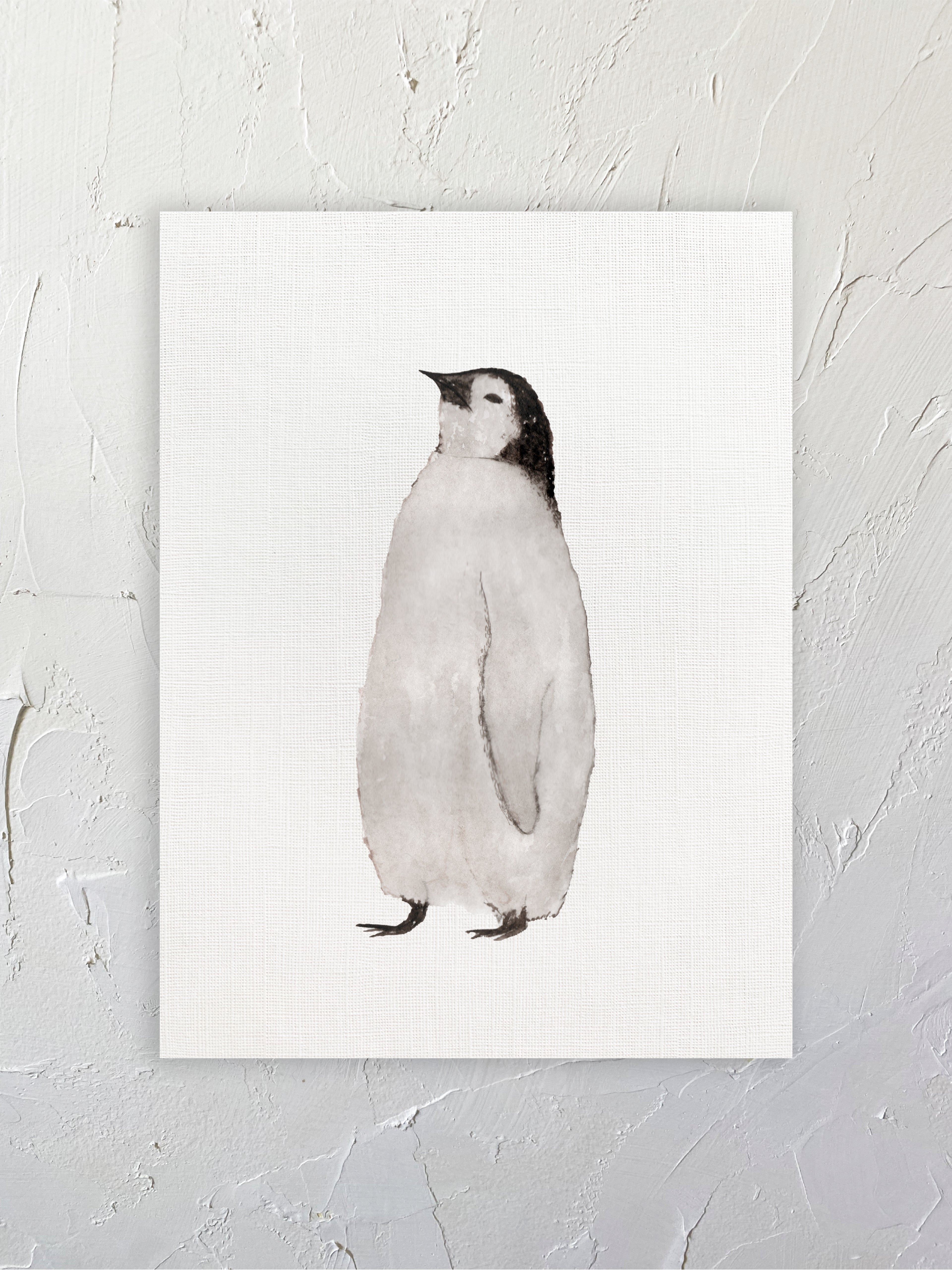 Pingüino emperador cria