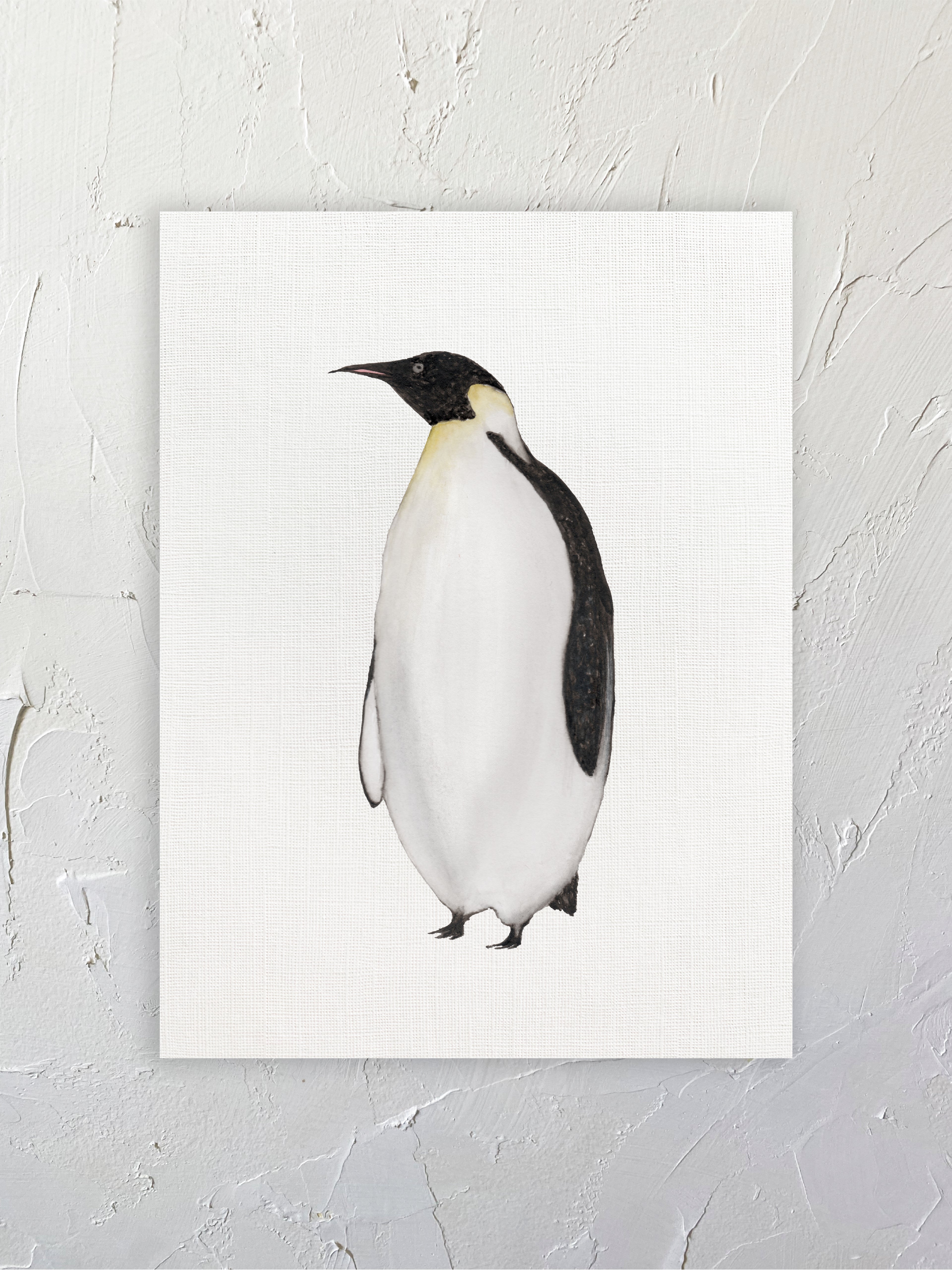 Pingüino emperador
