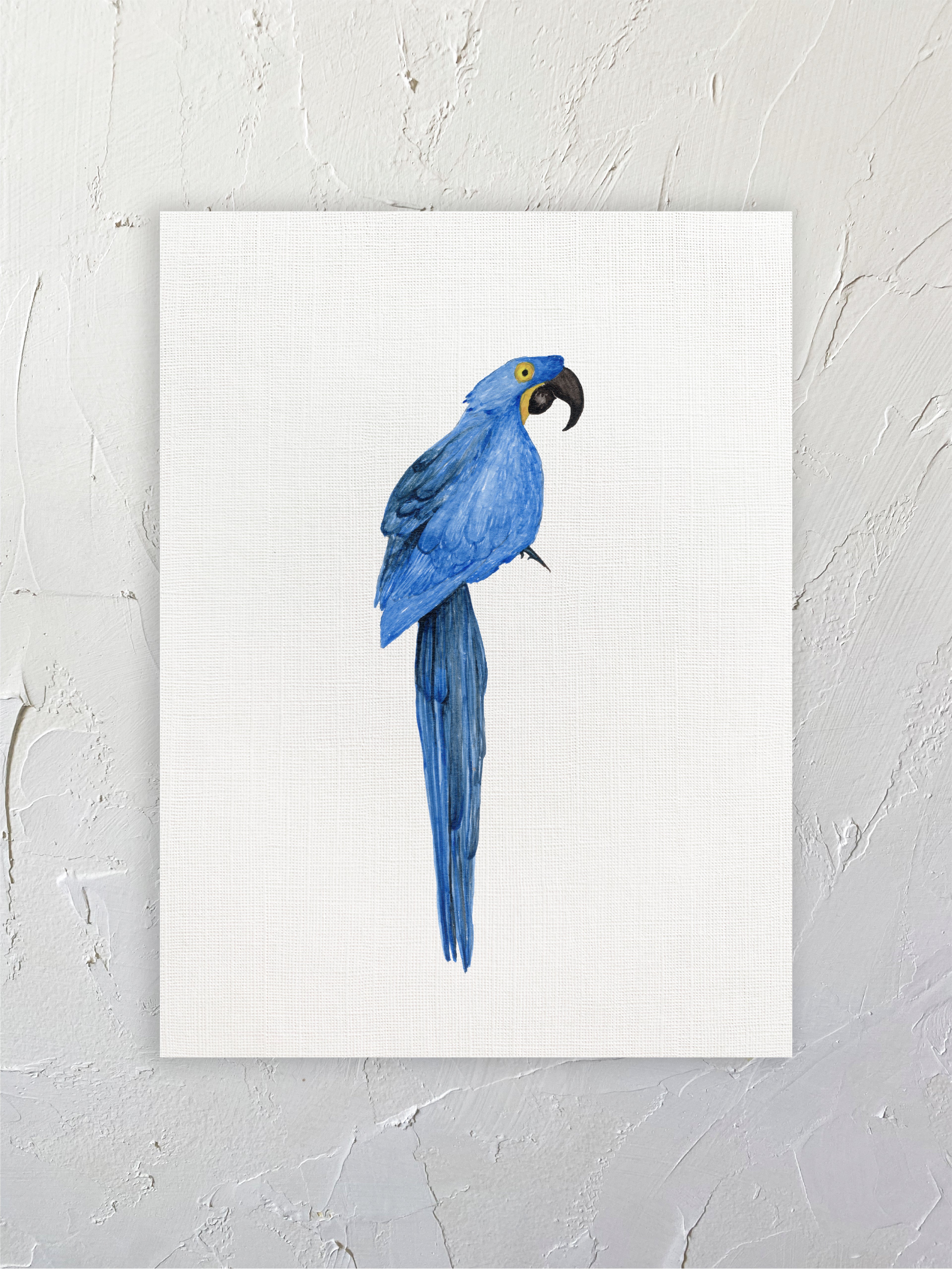 Guacamayo azul