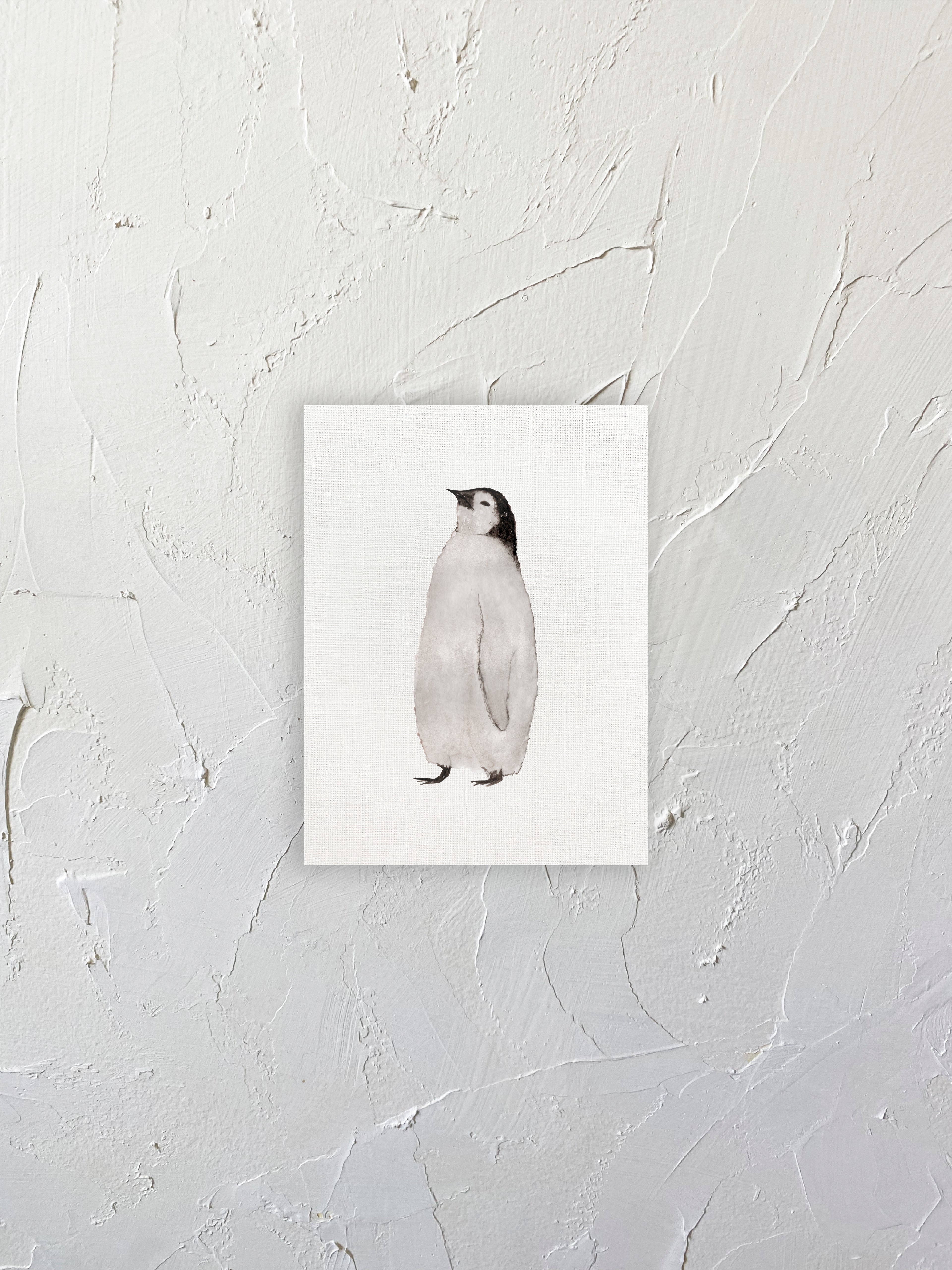 Pingüino emperador cria