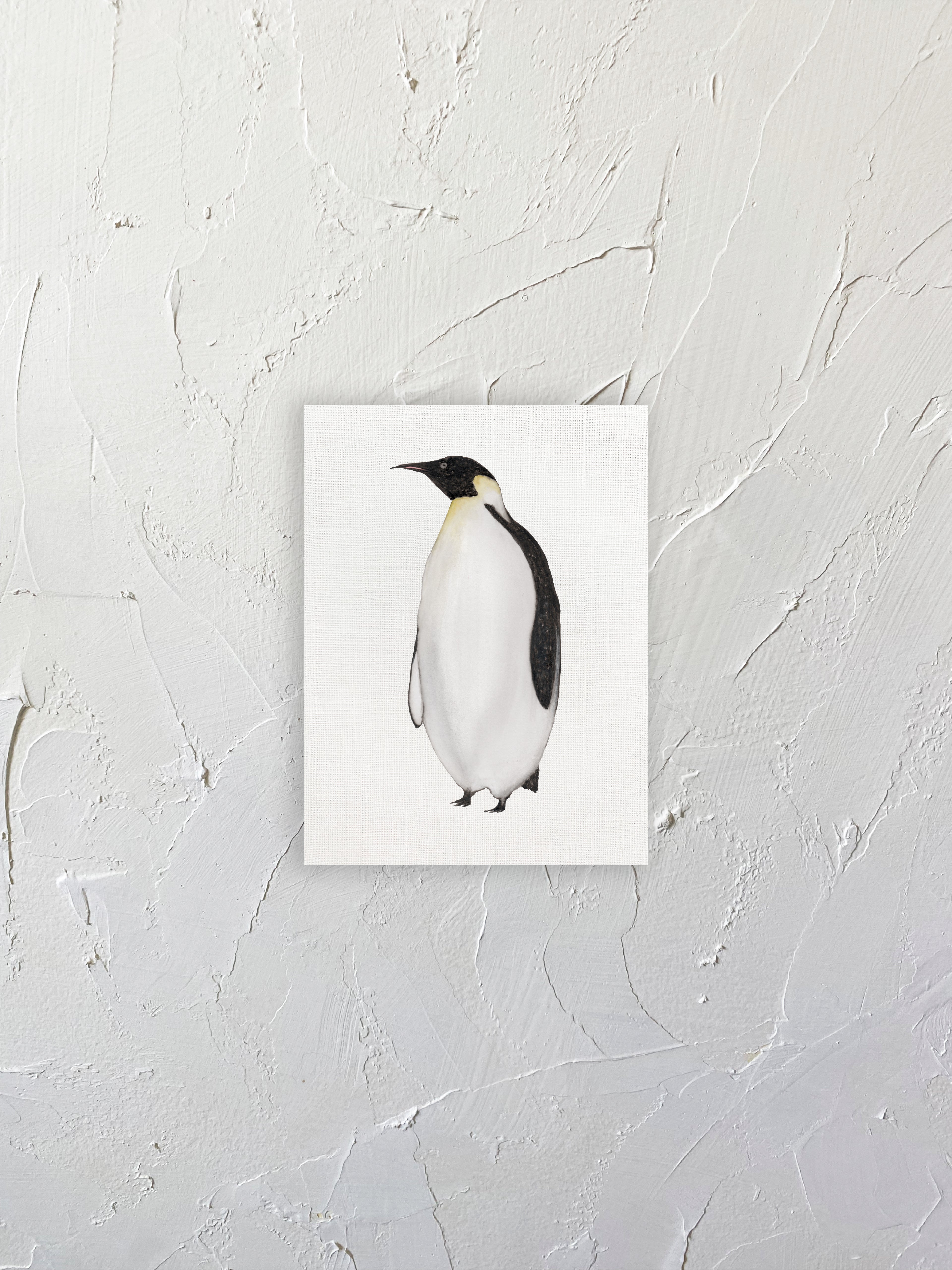 Pingüino emperador