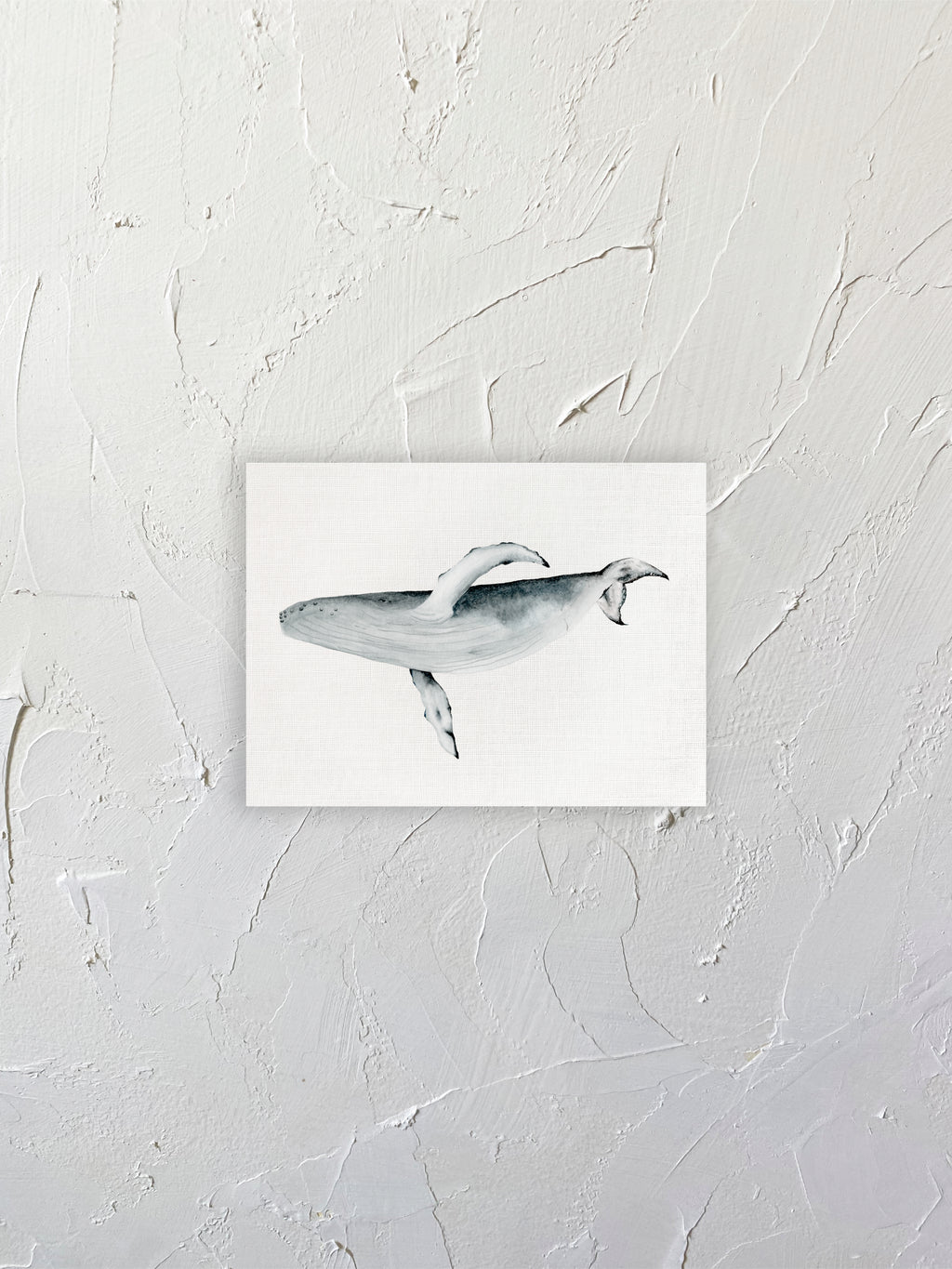 Ballena Jorobada