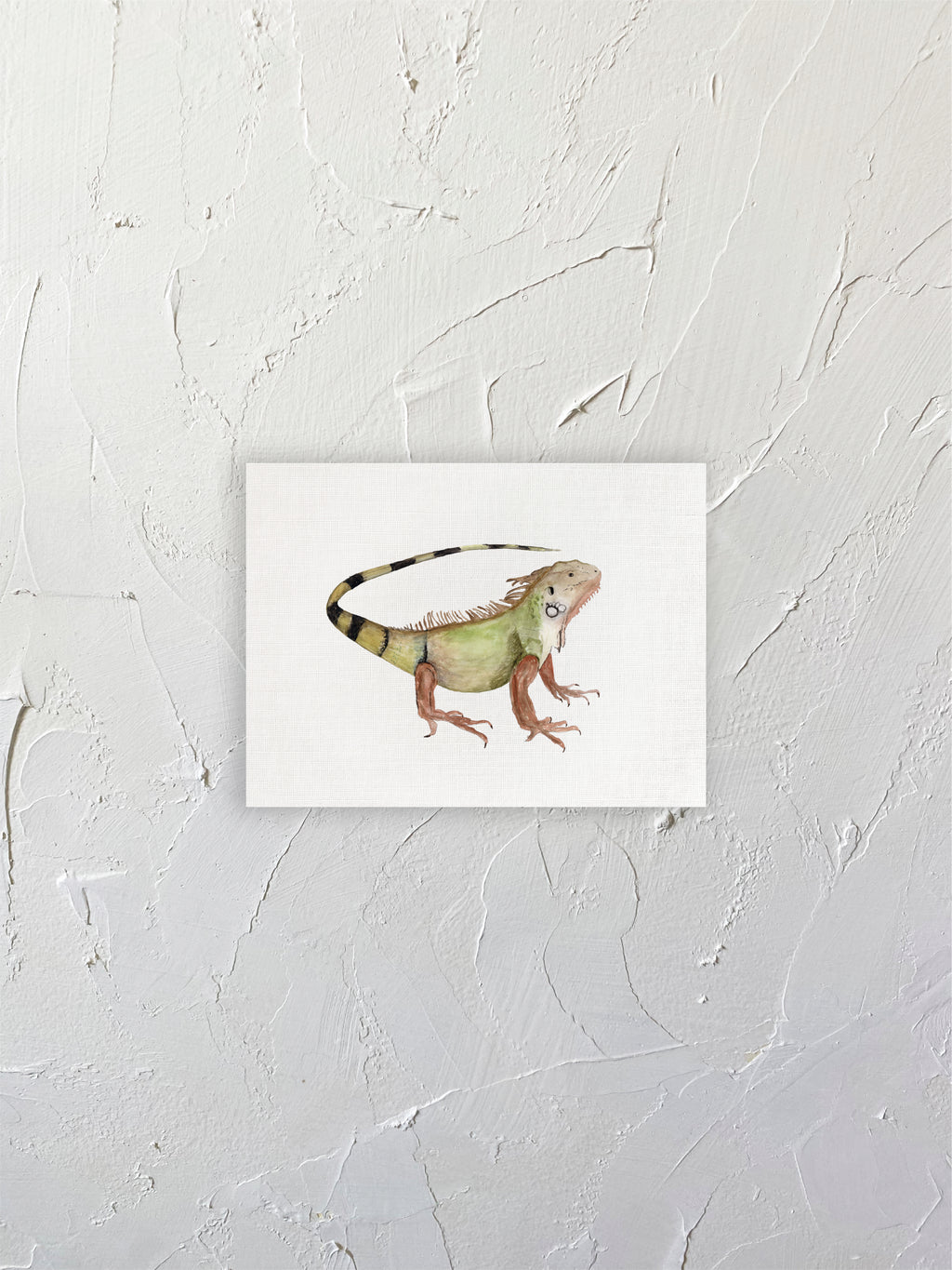 Iguana 02