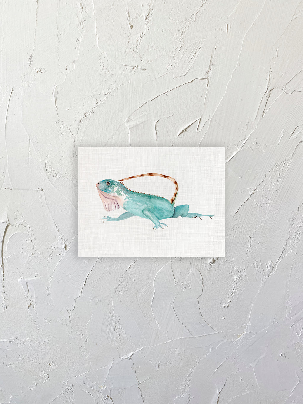 Iguana 01