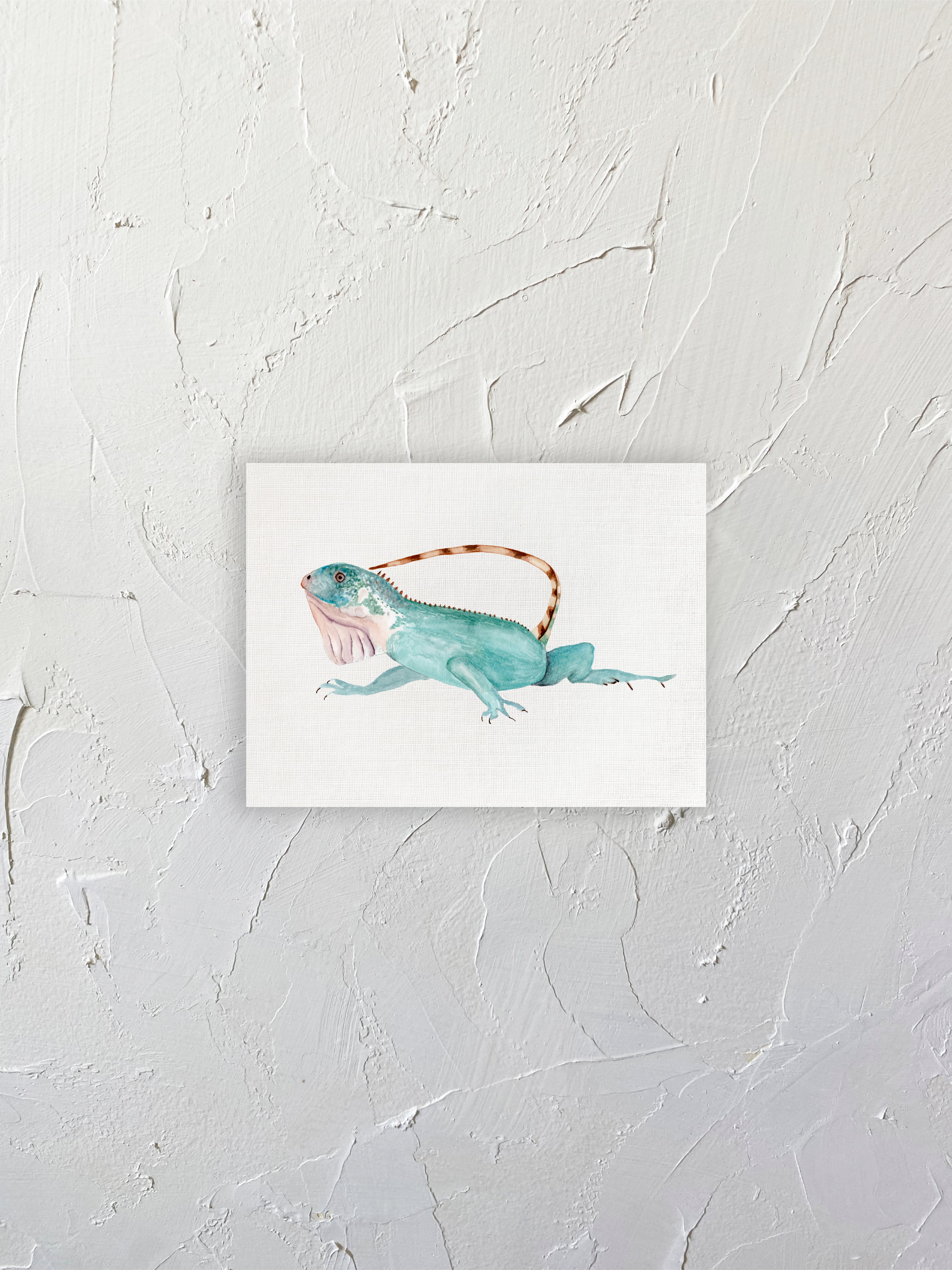 Iguana 01