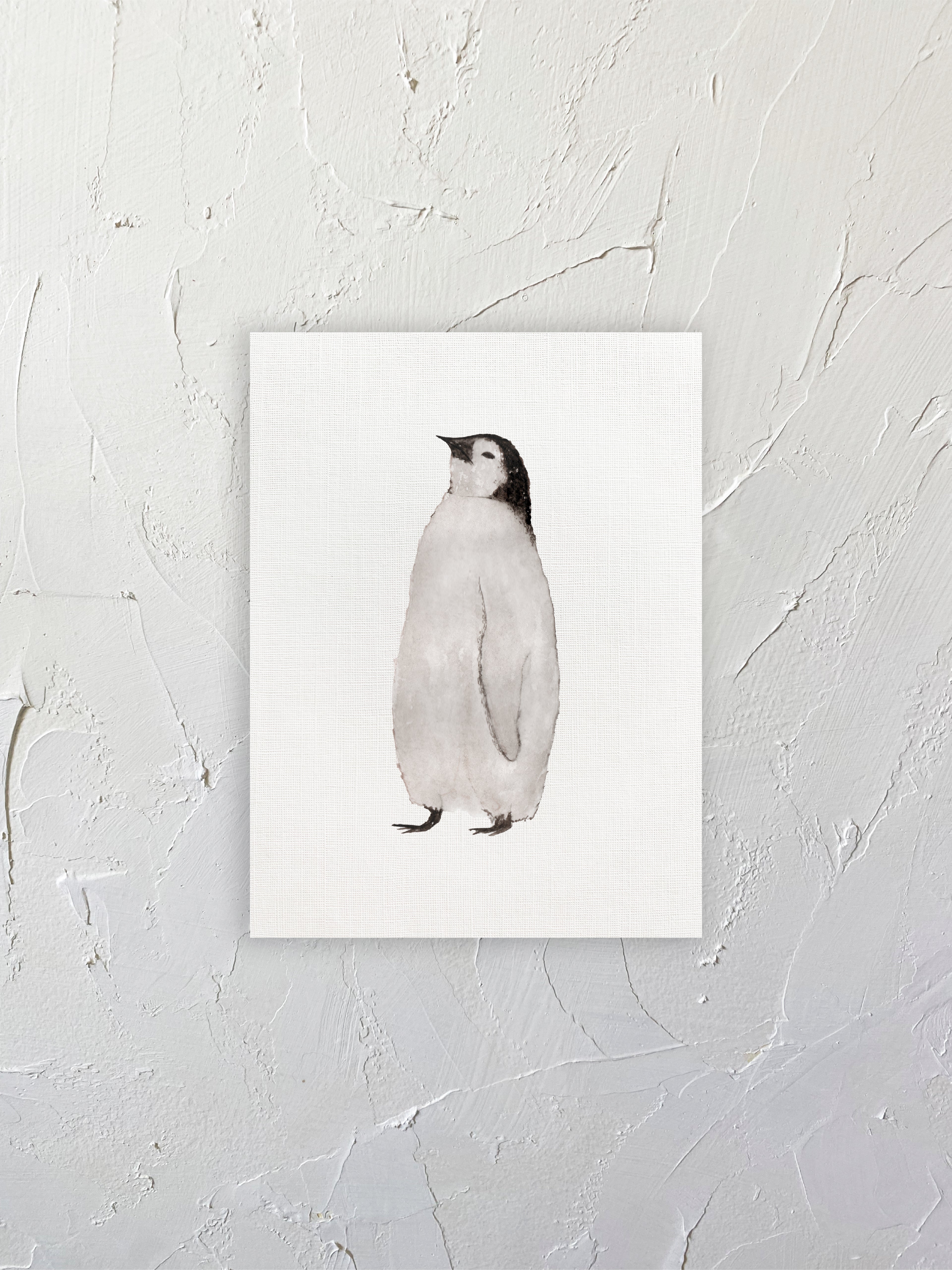 Pingüino emperador cria
