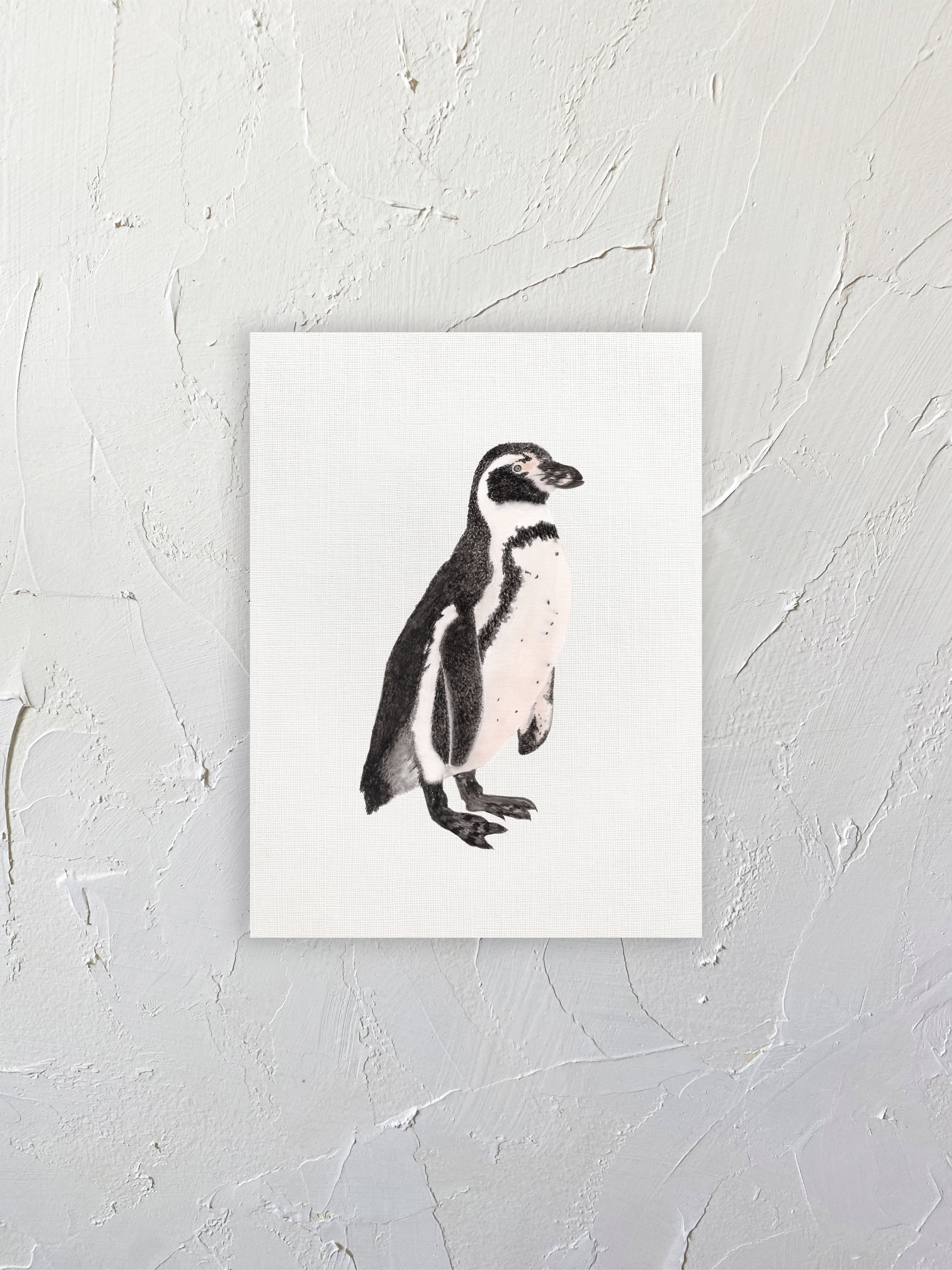 Pingüino de Humboldt