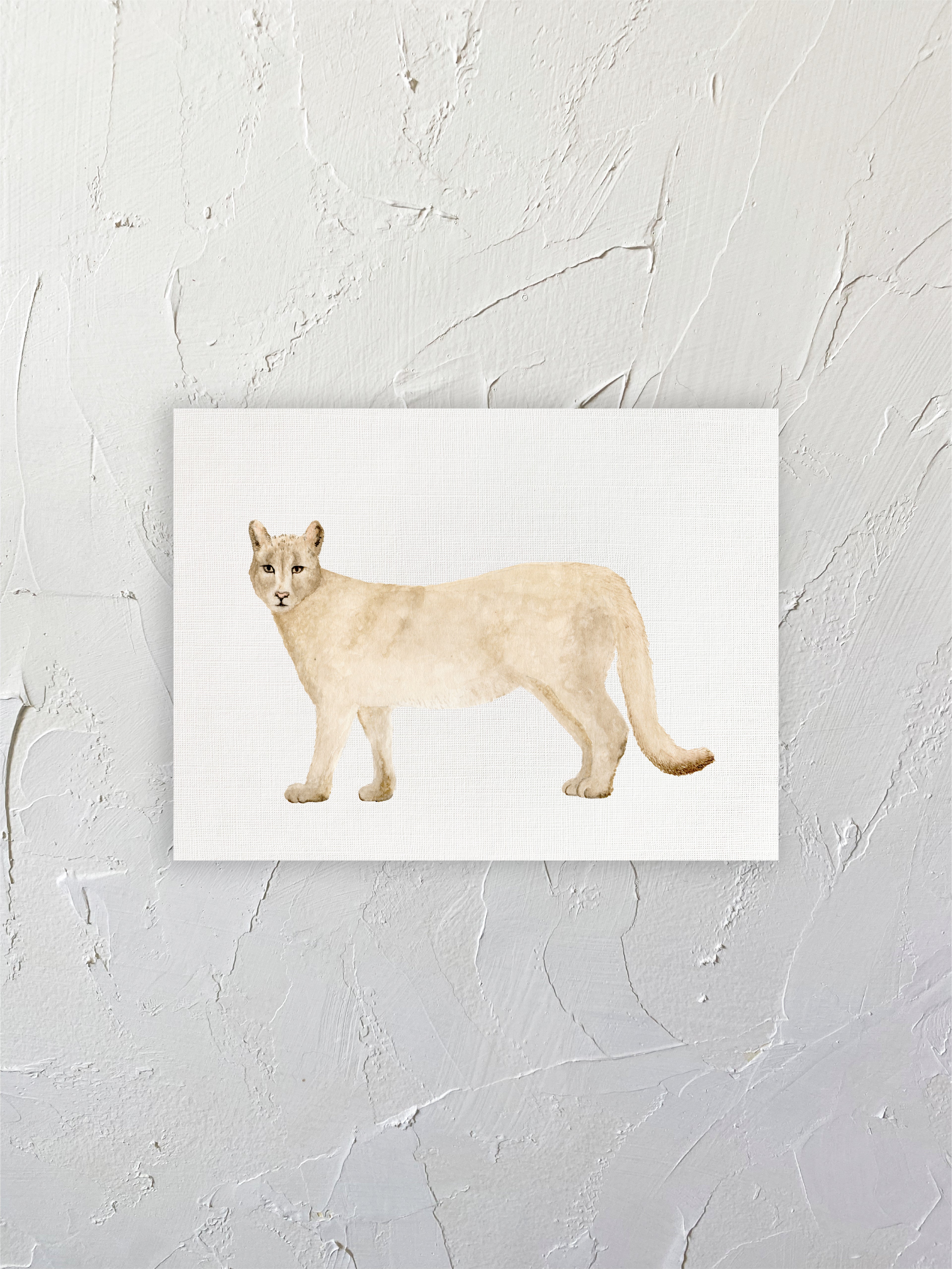 Puma