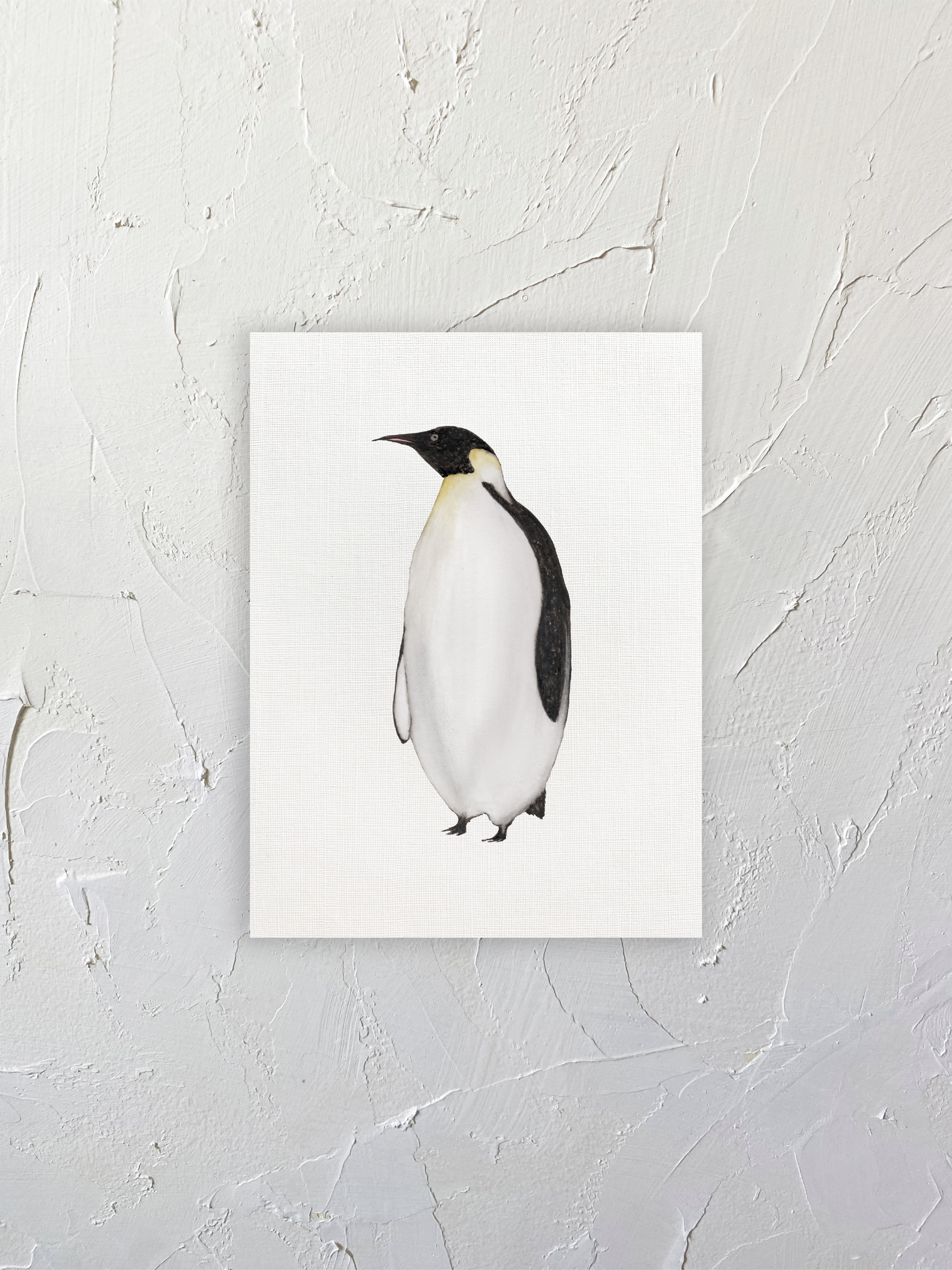 Pingüino emperador
