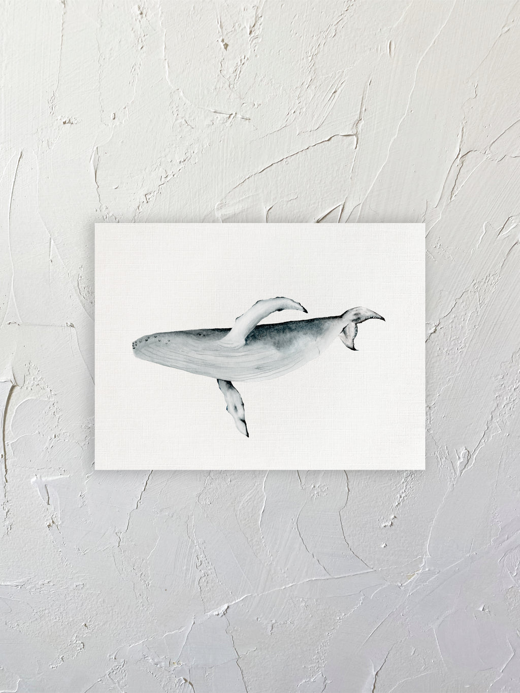 Ballena Jorobada
