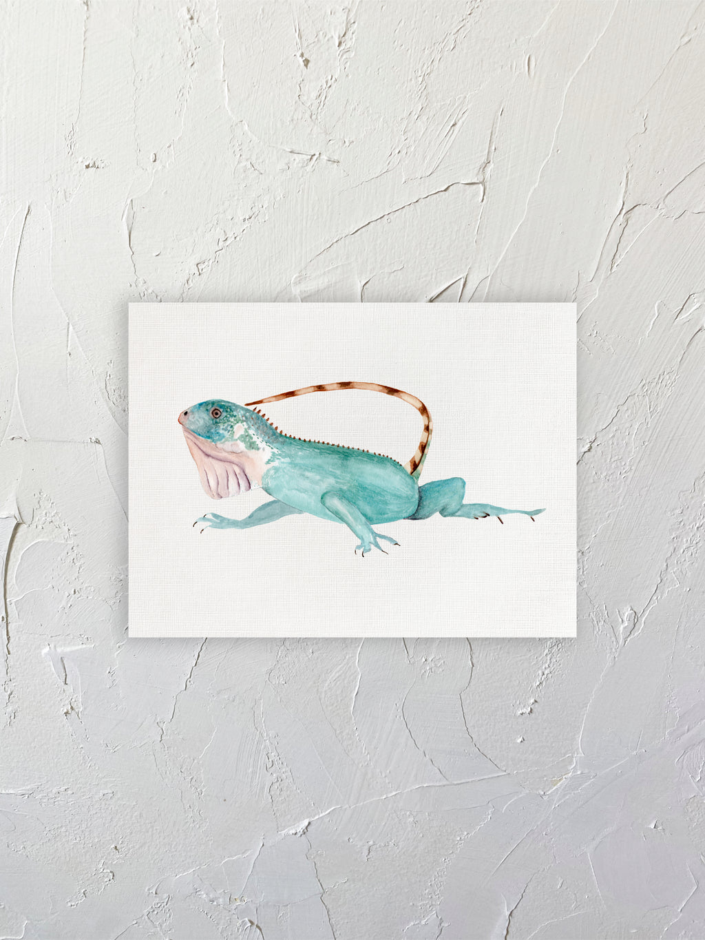 Iguana 01