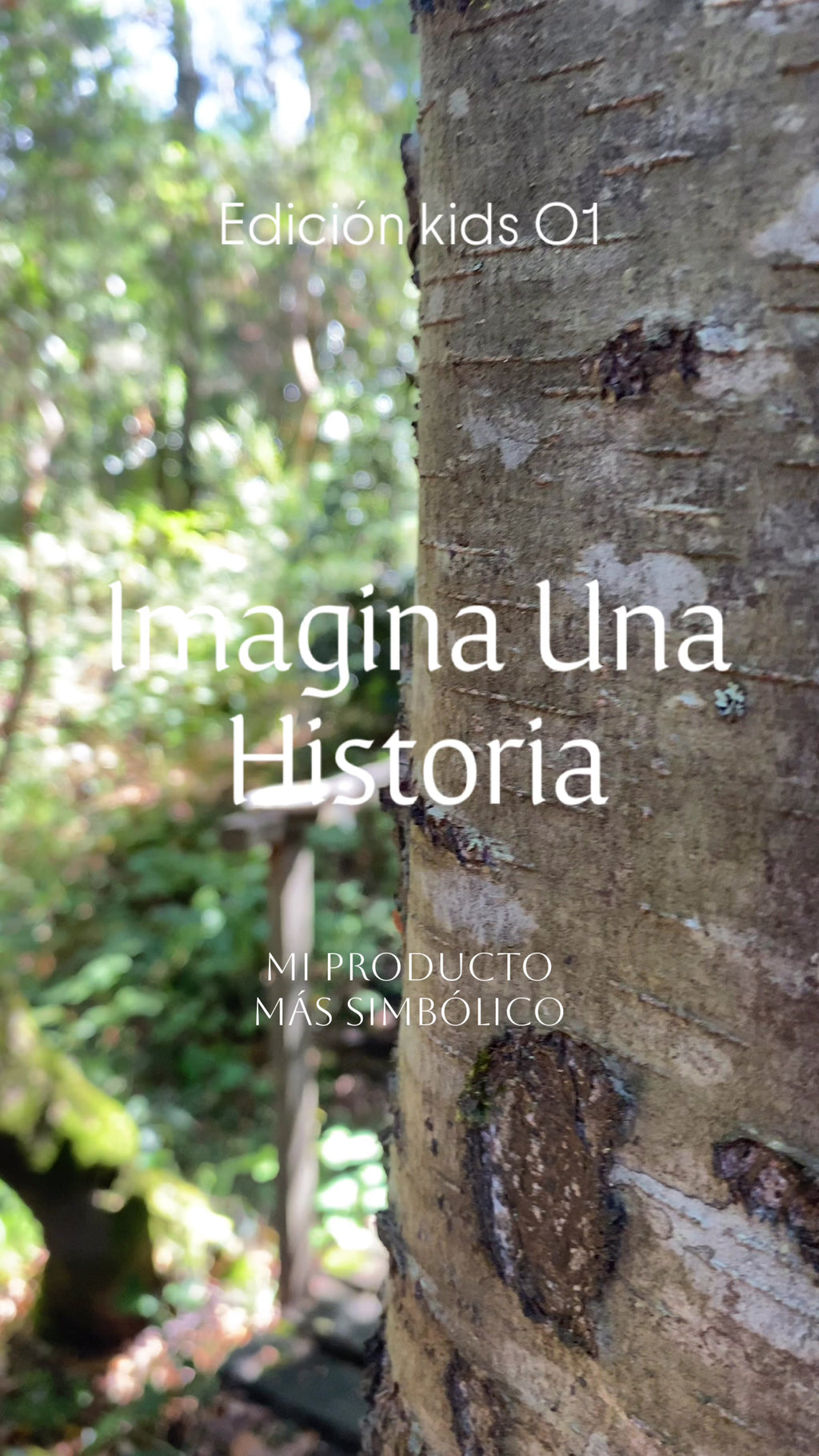Imagina una historia